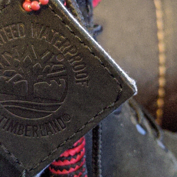 Champion Timberland 6\